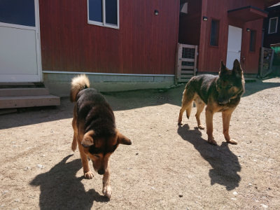 f:id:roukenhome-ann:20190410054100j:plain f:id:roukenhome-ann:20190410054100j:plain