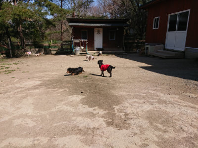 f:id:roukenhome-ann:20190410054106j:plain f:id:roukenhome-ann:20190410054106j:plain