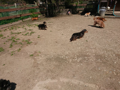 f:id:roukenhome-ann:20190410054117j:plain f:id:roukenhome-ann:20190410054117j:plain