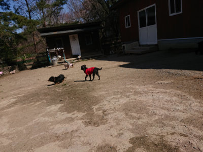 f:id:roukenhome-ann:20190410054138j:plain f:id:roukenhome-ann:20190410054138j:plain