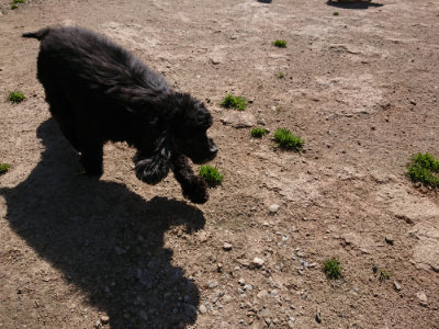 f:id:roukenhome-ann:20190410054144j:plain f:id:roukenhome-ann:20190410054144j:plain