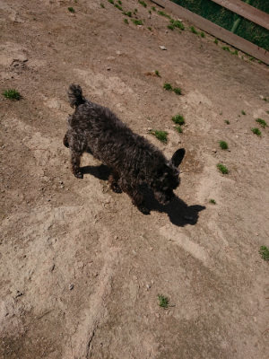 f:id:roukenhome-ann:20190410054149j:plain f:id:roukenhome-ann:20190410054149j:plain