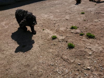f:id:roukenhome-ann:20190410054212j:plain f:id:roukenhome-ann:20190410054212j:plain