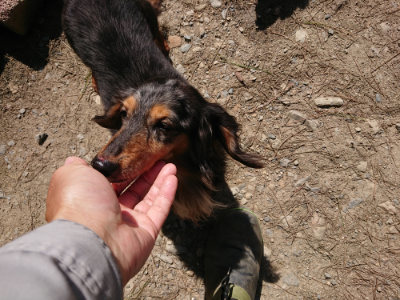 f:id:roukenhome-ann:20190410054231j:plain f:id:roukenhome-ann:20190410054231j:plain