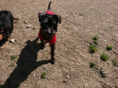 f:id:roukenhome-ann:20190410073145j:plain f:id:roukenhome-ann:20190410073145j:plain