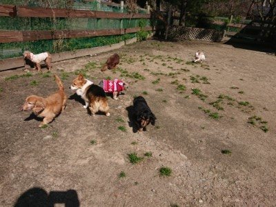 f:id:roukenhome-ann:20190410073157j:plain f:id:roukenhome-ann:20190410073157j:plain