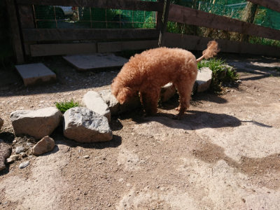 f:id:roukenhome-ann:20190410073238j:plain f:id:roukenhome-ann:20190410073238j:plain