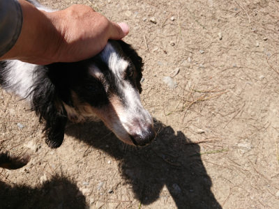 f:id:roukenhome-ann:20190410073244j:plain f:id:roukenhome-ann:20190410073244j:plain