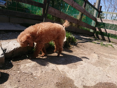 f:id:roukenhome-ann:20190410073302j:plain f:id:roukenhome-ann:20190410073302j:plain