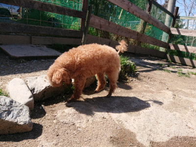 f:id:roukenhome-ann:20190410073309j:plain f:id:roukenhome-ann:20190410073309j:plain