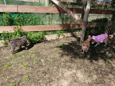 f:id:roukenhome-ann:20190410073322j:plain f:id:roukenhome-ann:20190410073322j:plain