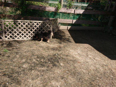 f:id:roukenhome-ann:20190410073329j:plain f:id:roukenhome-ann:20190410073329j:plain