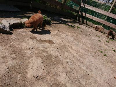 f:id:roukenhome-ann:20190410073336j:plain f:id:roukenhome-ann:20190410073336j:plain