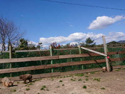 f:id:roukenhome-ann:20190410073341j:plain f:id:roukenhome-ann:20190410073341j:plain