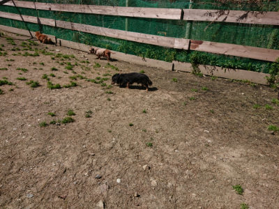 f:id:roukenhome-ann:20190410073348j:plain f:id:roukenhome-ann:20190410073348j:plain
