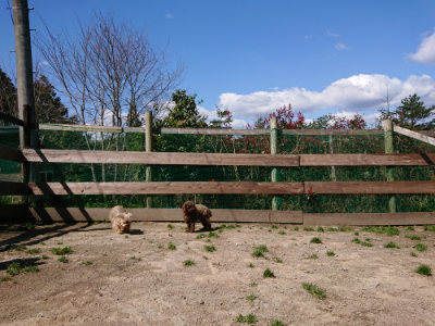 f:id:roukenhome-ann:20190410073407j:plain f:id:roukenhome-ann:20190410073407j:plain