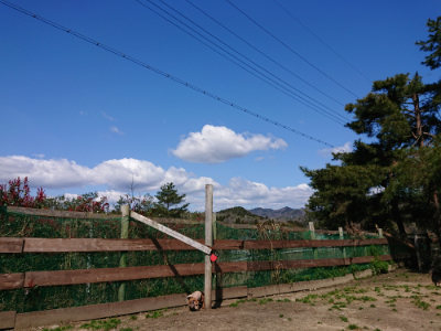 f:id:roukenhome-ann:20190410073413j:plain f:id:roukenhome-ann:20190410073413j:plain