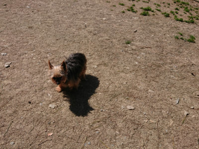 f:id:roukenhome-ann:20190410073427j:plain f:id:roukenhome-ann:20190410073427j:plain