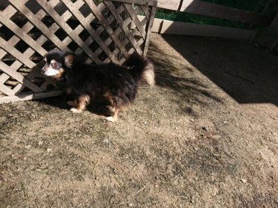 f:id:roukenhome-ann:20190410073445j:plain f:id:roukenhome-ann:20190410073445j:plain
