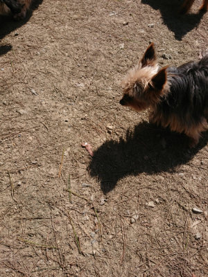 f:id:roukenhome-ann:20190410073611j:plain f:id:roukenhome-ann:20190410073611j:plain