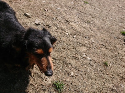 f:id:roukenhome-ann:20190410073629j:plain f:id:roukenhome-ann:20190410073629j:plain