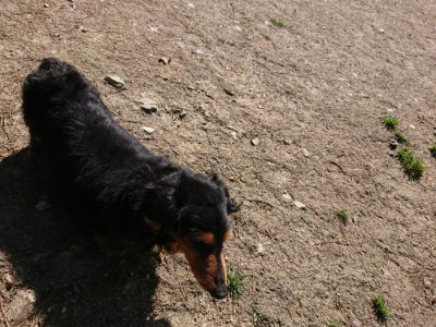 f:id:roukenhome-ann:20190410073635j:plain f:id:roukenhome-ann:20190410073635j:plain