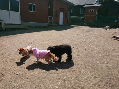f:id:roukenhome-ann:20190410073642j:plain f:id:roukenhome-ann:20190410073642j:plain