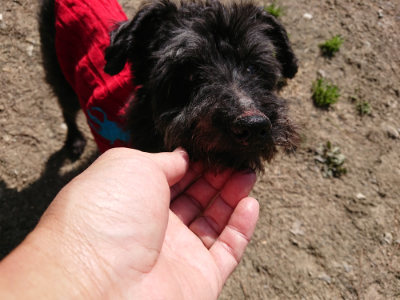 f:id:roukenhome-ann:20190410073735j:plain f:id:roukenhome-ann:20190410073735j:plain