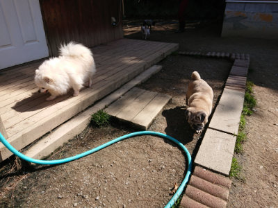 f:id:roukenhome-ann:20190410073830j:plain f:id:roukenhome-ann:20190410073830j:plain