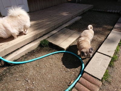f:id:roukenhome-ann:20190410073838j:plain f:id:roukenhome-ann:20190410073838j:plain