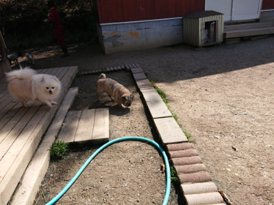 f:id:roukenhome-ann:20190410073911j:plain f:id:roukenhome-ann:20190410073911j:plain