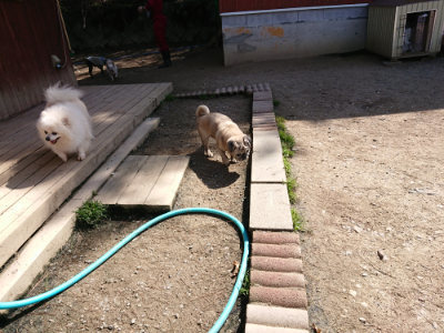 f:id:roukenhome-ann:20190410073917j:plain f:id:roukenhome-ann:20190410073917j:plain
