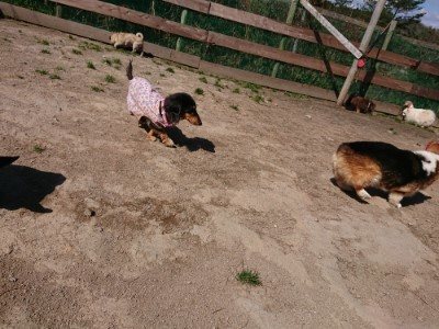 f:id:roukenhome-ann:20190410073922j:plain f:id:roukenhome-ann:20190410073922j:plain