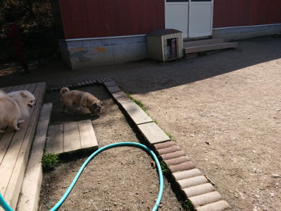 f:id:roukenhome-ann:20190410073947j:plain f:id:roukenhome-ann:20190410073947j:plain