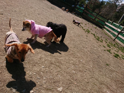f:id:roukenhome-ann:20190410074017j:plain f:id:roukenhome-ann:20190410074017j:plain