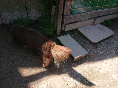f:id:roukenhome-ann:20190410074039j:plain f:id:roukenhome-ann:20190410074039j:plain