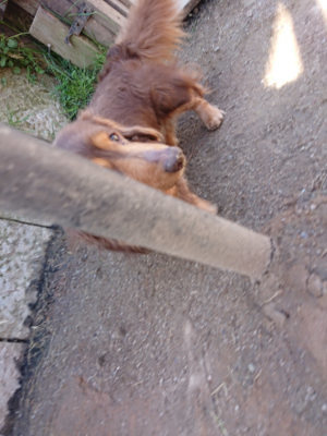 f:id:roukenhome-ann:20190410074045j:plain f:id:roukenhome-ann:20190410074045j:plain