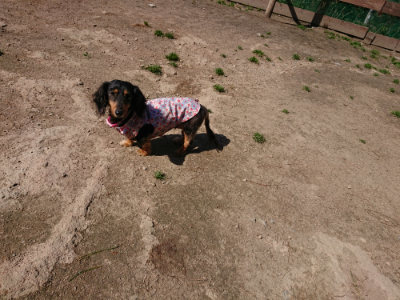 f:id:roukenhome-ann:20190410074101j:plain f:id:roukenhome-ann:20190410074101j:plain