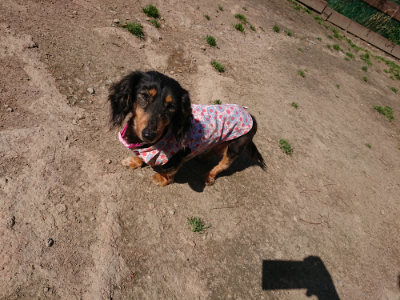 f:id:roukenhome-ann:20190410074109j:plain f:id:roukenhome-ann:20190410074109j:plain