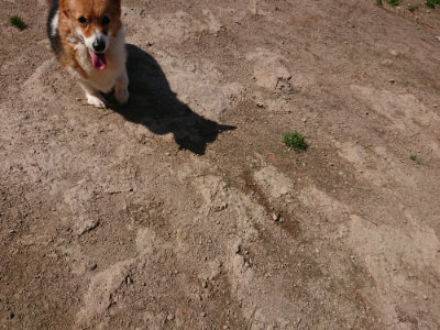 f:id:roukenhome-ann:20190410074115j:plain f:id:roukenhome-ann:20190410074115j:plain
