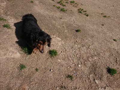f:id:roukenhome-ann:20190410074146j:plain f:id:roukenhome-ann:20190410074146j:plain
