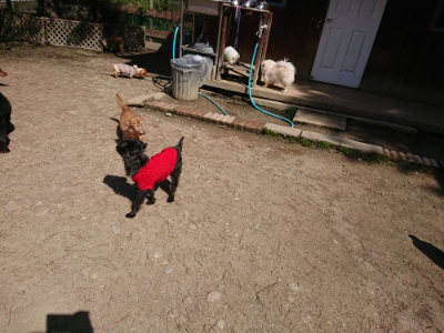 f:id:roukenhome-ann:20190410074153j:plain f:id:roukenhome-ann:20190410074153j:plain