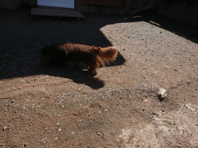 f:id:roukenhome-ann:20190410074227j:plain f:id:roukenhome-ann:20190410074227j:plain