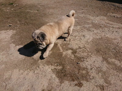 f:id:roukenhome-ann:20190410074257j:plain f:id:roukenhome-ann:20190410074257j:plain