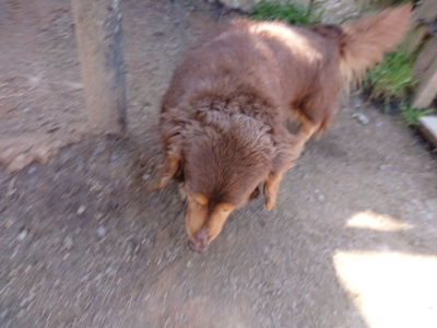 f:id:roukenhome-ann:20190410074351j:plain f:id:roukenhome-ann:20190410074351j:plain