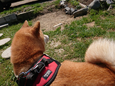 f:id:roukenhome-ann:20190410074451j:plain f:id:roukenhome-ann:20190410074451j:plain