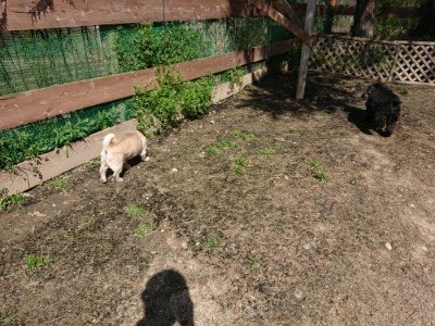 f:id:roukenhome-ann:20190410074508j:plain f:id:roukenhome-ann:20190410074508j:plain