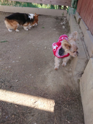 f:id:roukenhome-ann:20190410074541j:plain f:id:roukenhome-ann:20190410074541j:plain