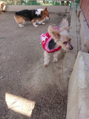 f:id:roukenhome-ann:20190410074547j:plain f:id:roukenhome-ann:20190410074547j:plain
