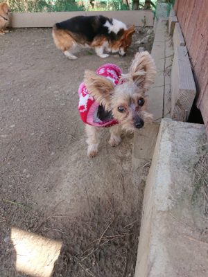 f:id:roukenhome-ann:20190410074554j:plain f:id:roukenhome-ann:20190410074554j:plain